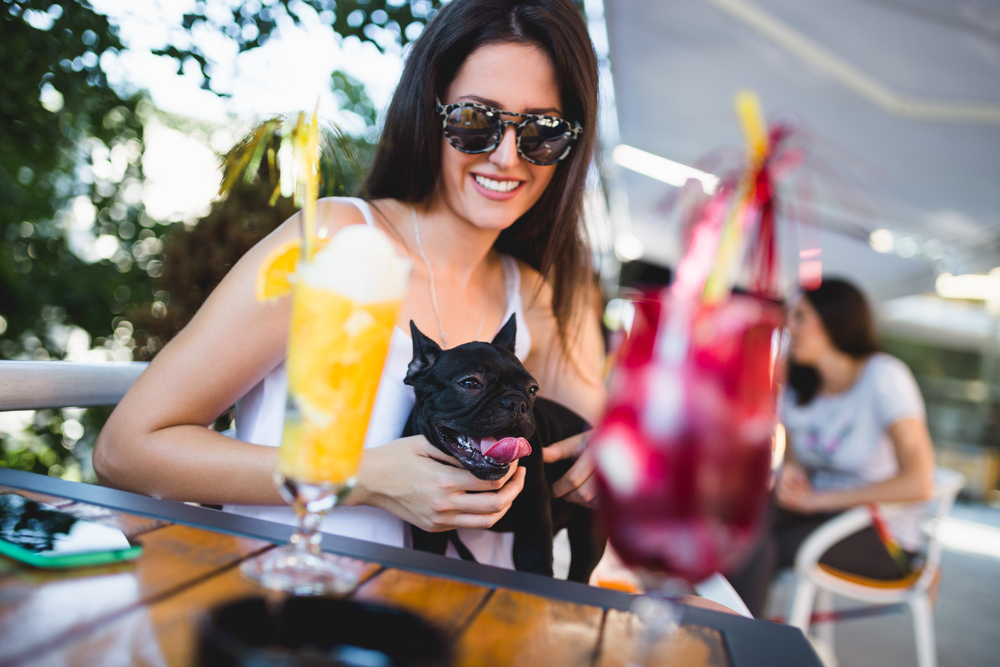 Young woman enjoying in cafe restaurant with her adorable French bulldog.