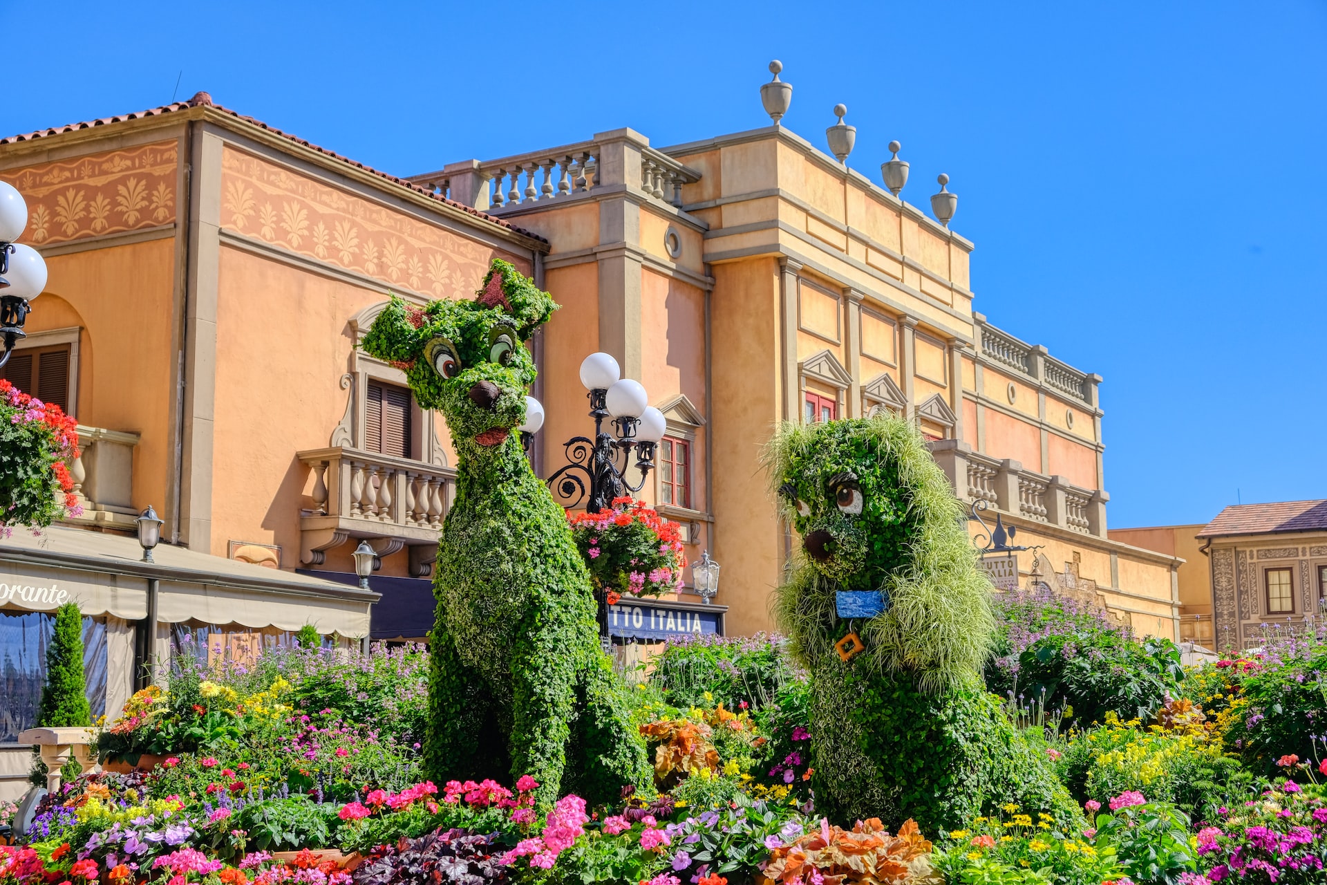 Lady and the Tramp shrubbery in Disney World.