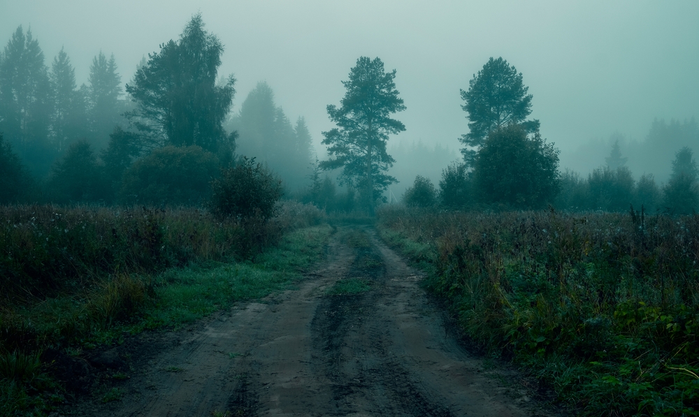 Rural road in the fog before dawn in the forest. Scary atmosphere of Halloween and Sleepy Hollow.