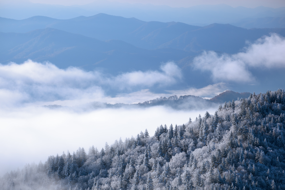 Foggy winter landscape from Clingman's Dome of frosted forest, Great Smoky Mountains National Park, Tennessee, U.S.