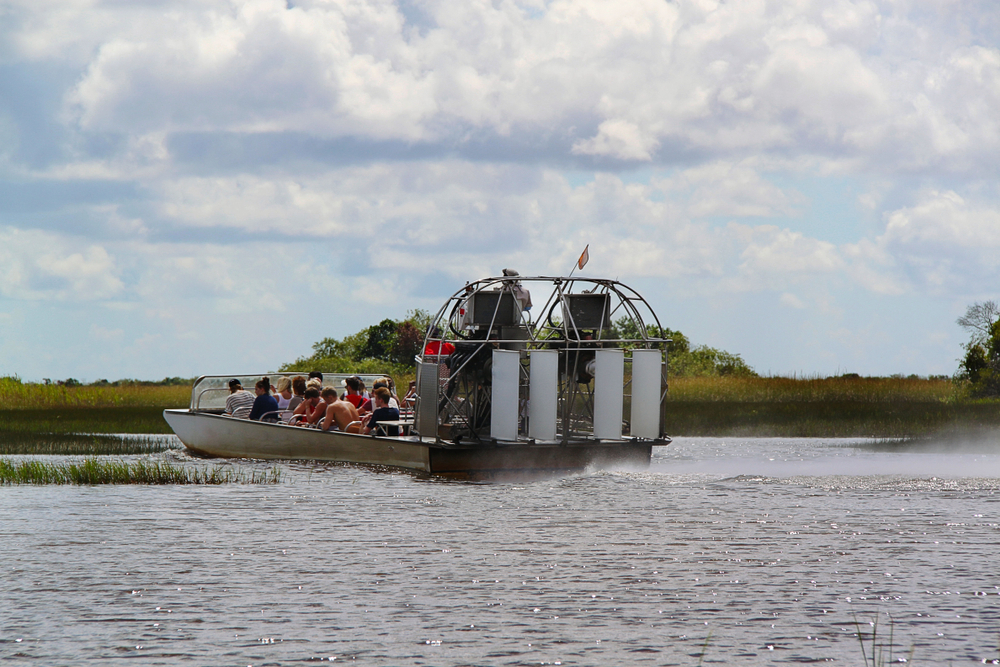 A group of people on an airboat ride through swampland.