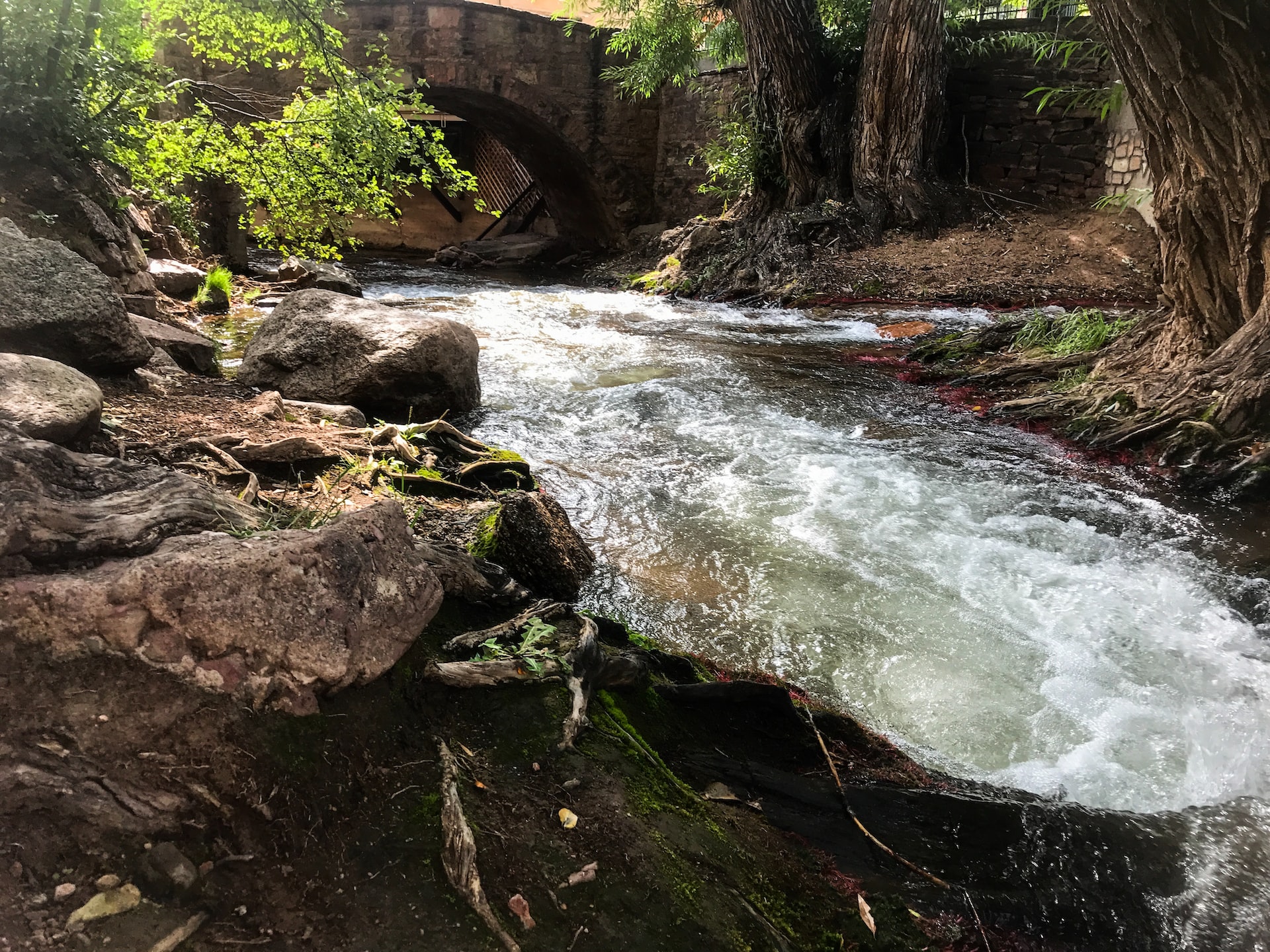 A flowing stream under a bridge.