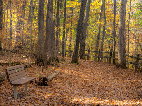 blendon-woods-metro-park