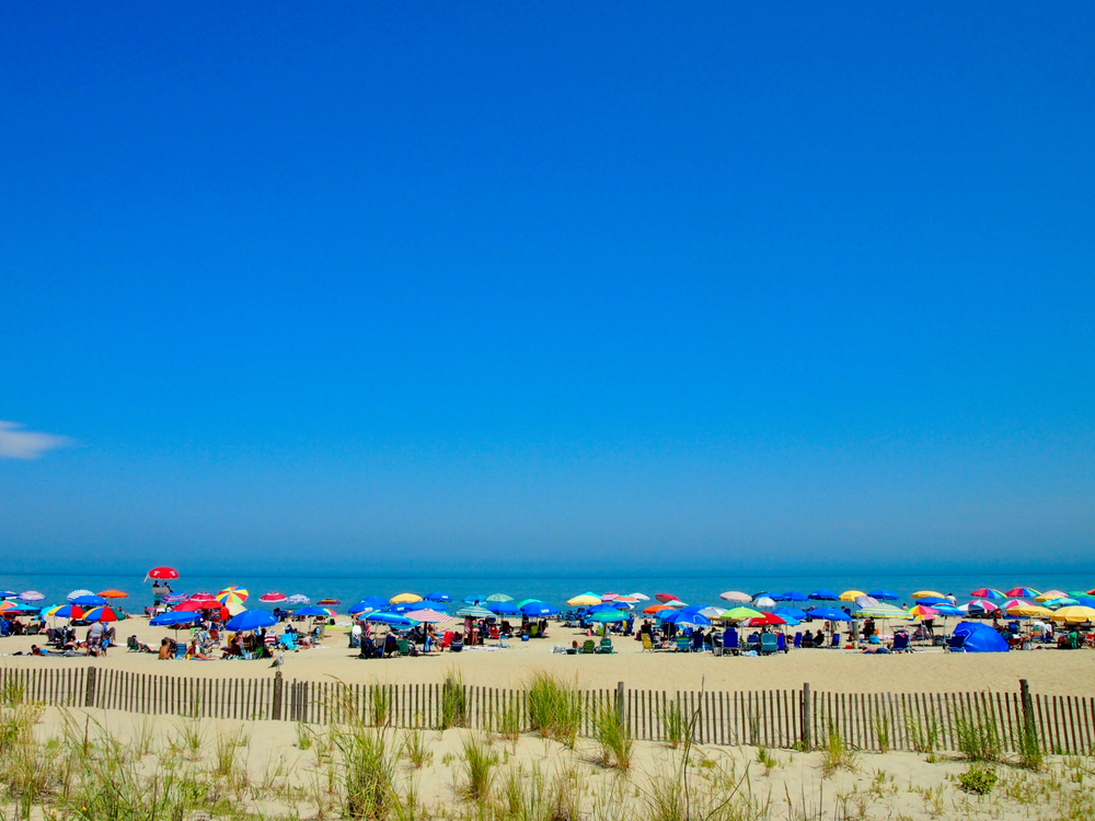 A plentiful amount of people and different-colored umbrellas laid out along the Rehoboth Beach.