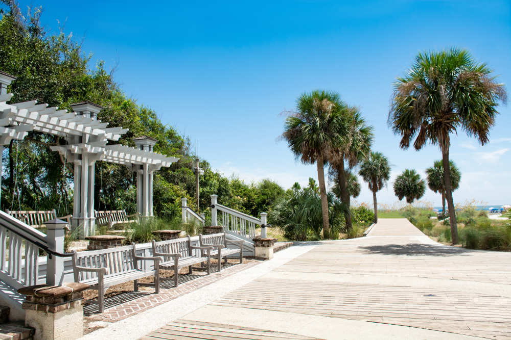 A Hilton Head palm-tree-lined walkway to the beach.