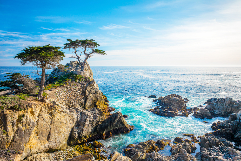 A solitary Cypress tree stands at the top of a rocky promontory in Monterey Bay.