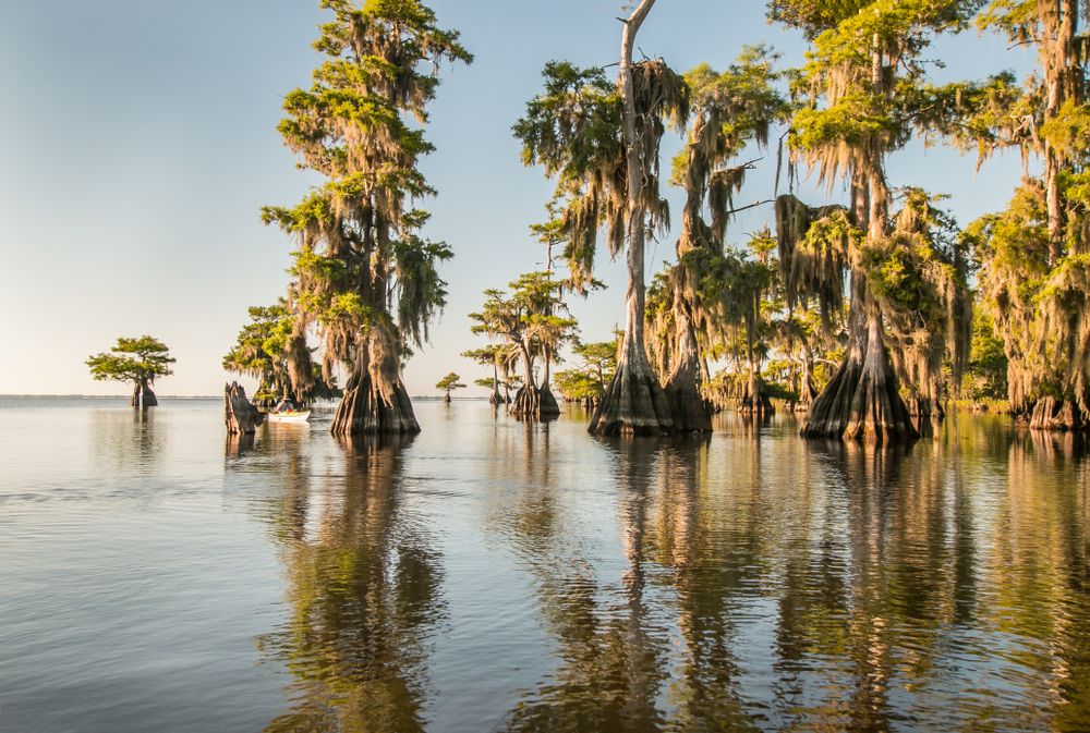 Beautiful Blue Cypress Lake near Vero Beach, Florida.