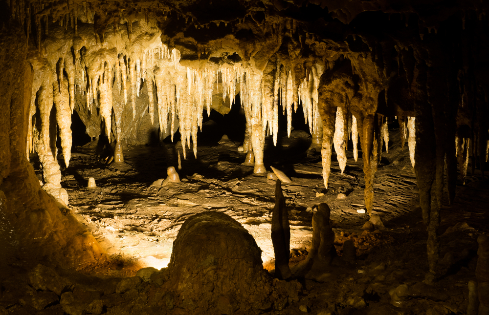 A grotto inside the cave at Florida Caverns State Park.