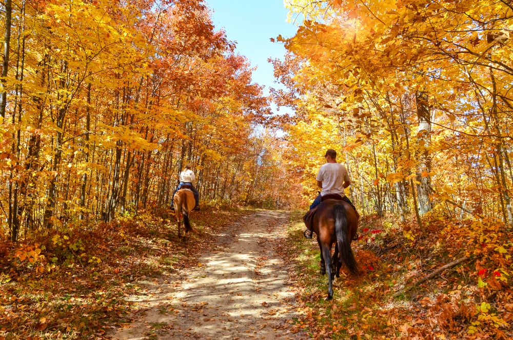 Two people on horseback riding through lush golden foliage.