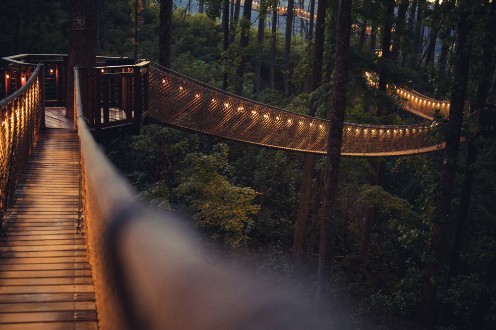 Tree bridge with strings lights lit up at night at Anakeesta in Gatlinburg.