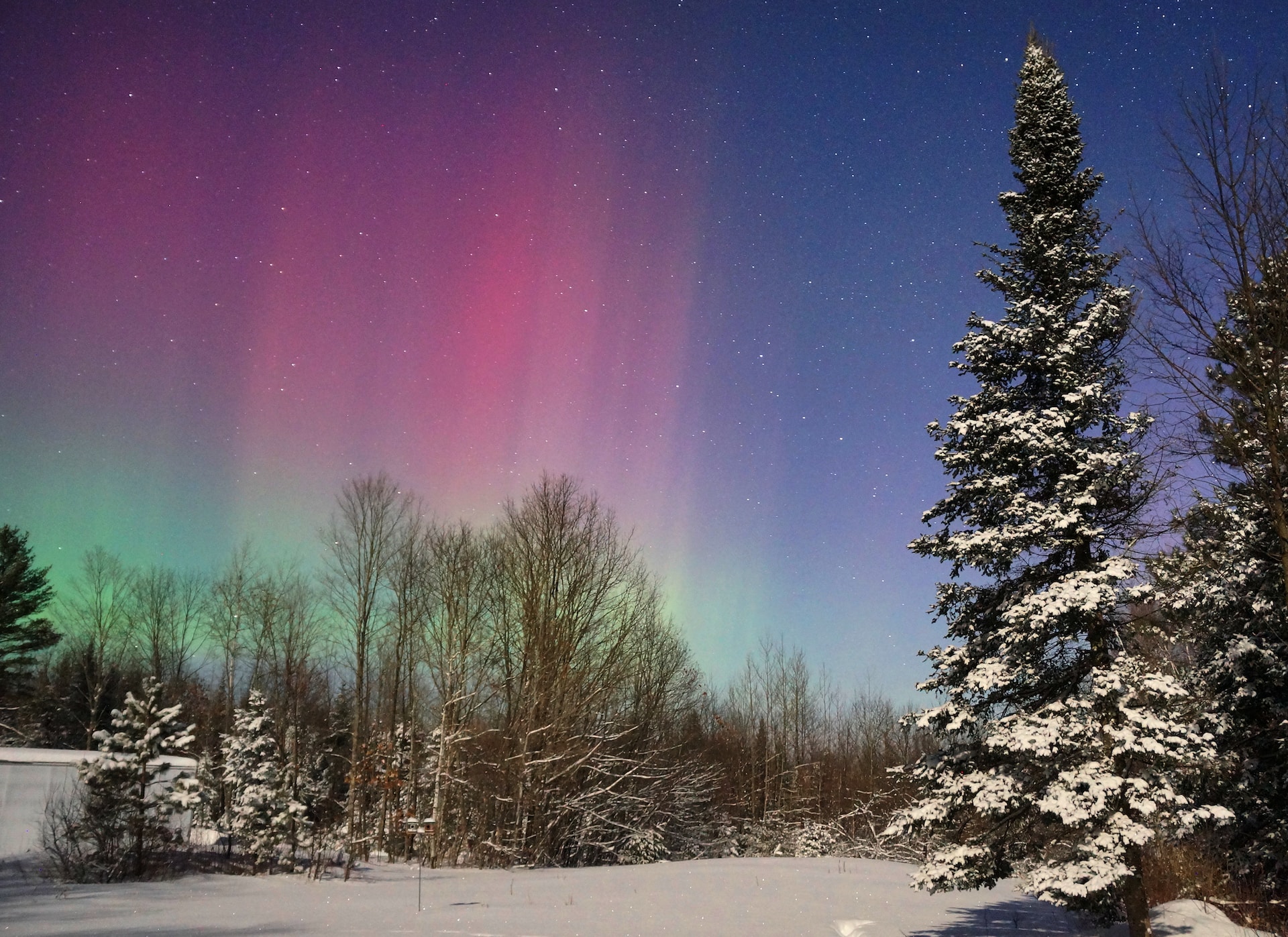 Northern lights in Maine during winter.