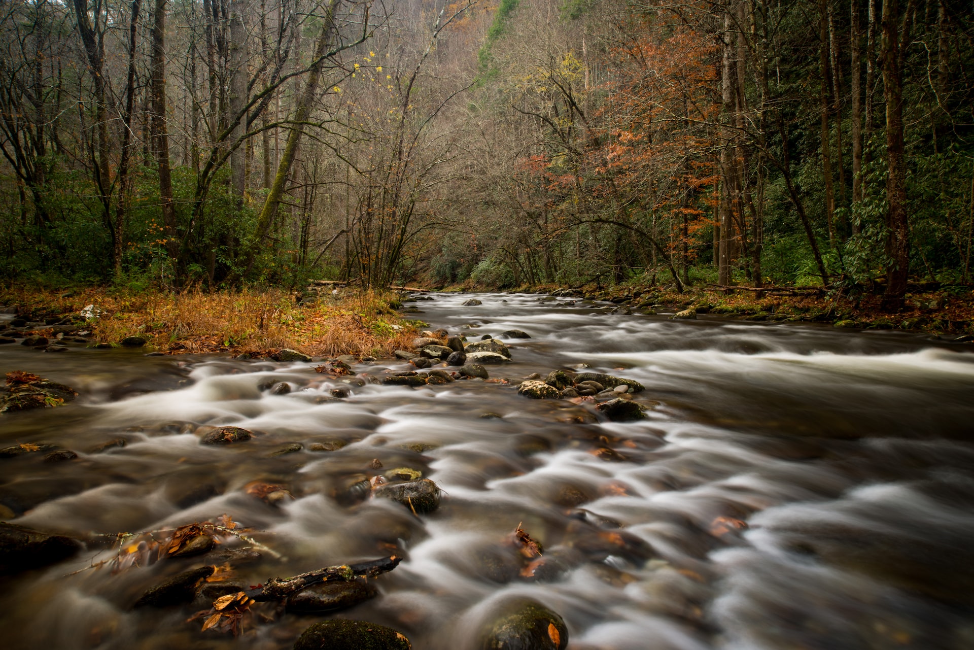 Timelapse photography of the stream at Tremont in fall.