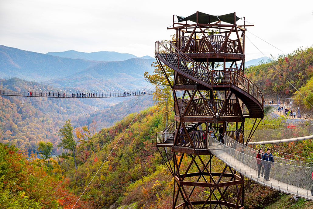 The cable bridges and towers found at SkyPark.