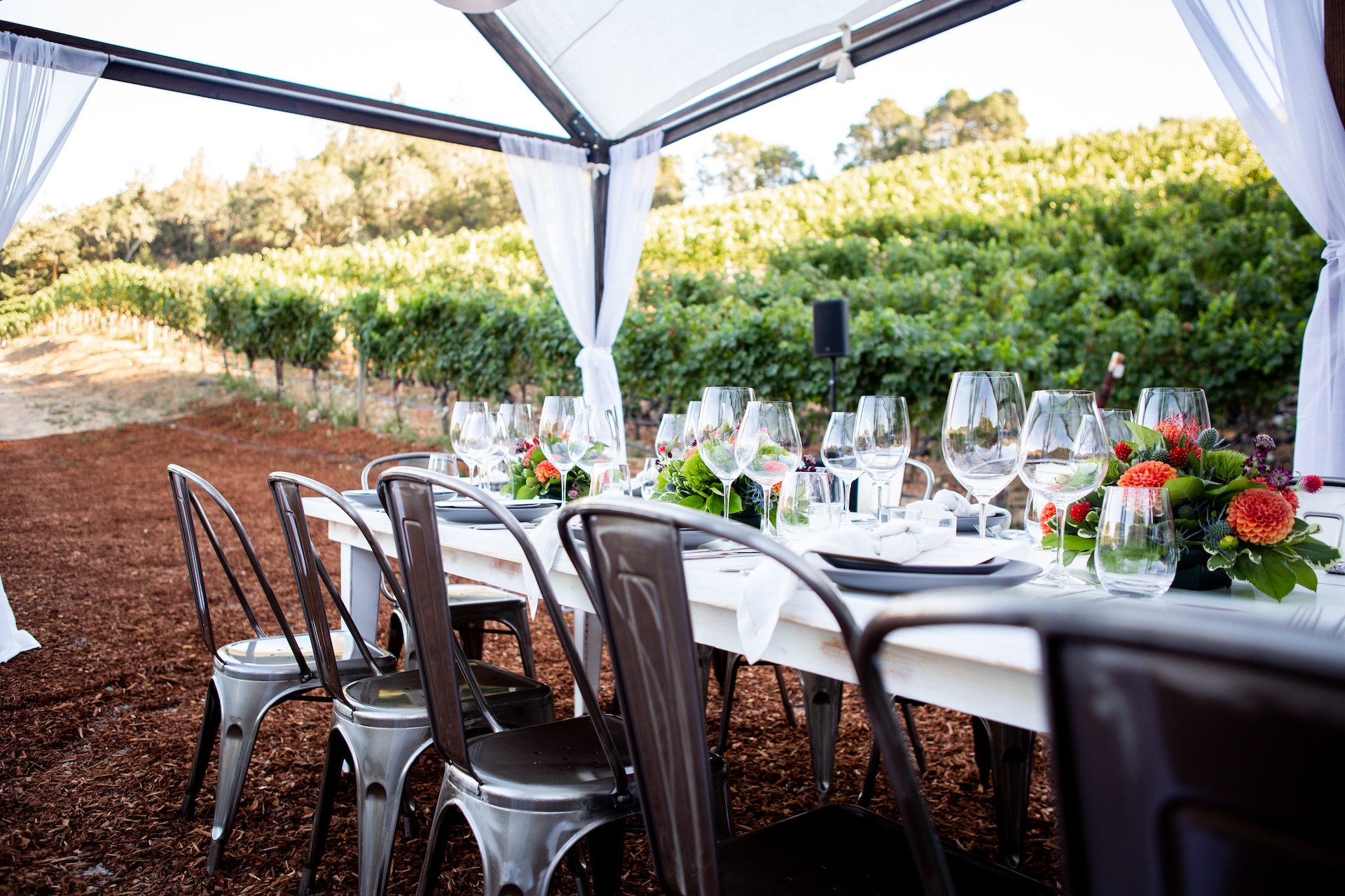 An outdoor table filled with formal trappings and wine glasses near a vineyard.
