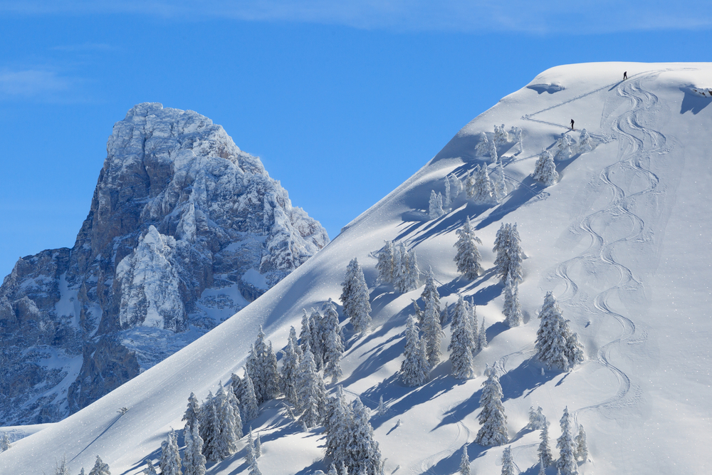 Snow covering pine trees along the peak of a Wyoming mountain.