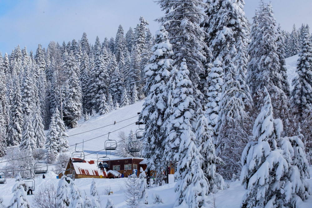 A snowy scene covering trees and the lift at Brundage Mountain ski resort, McCall, Idaho.