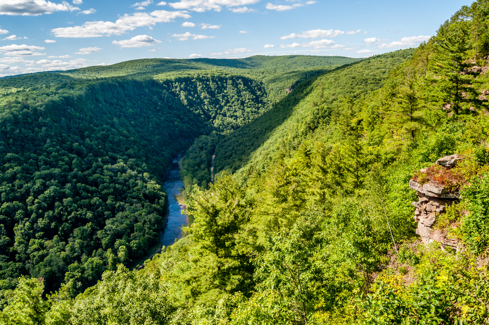 Pine Creek flows nearly a mile down into a gorge at the Grand Canyon of Pennsylvania.