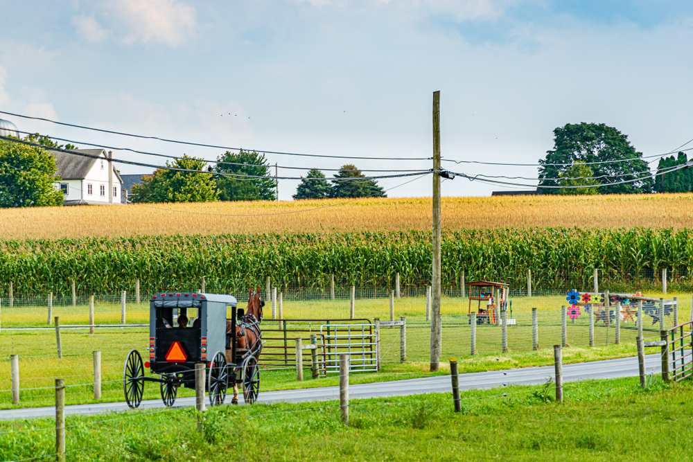 Amish country field agriculture, horse, harvest, farm, barn in Lancaster.