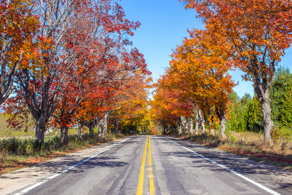 gold-coast-m-22-michigan