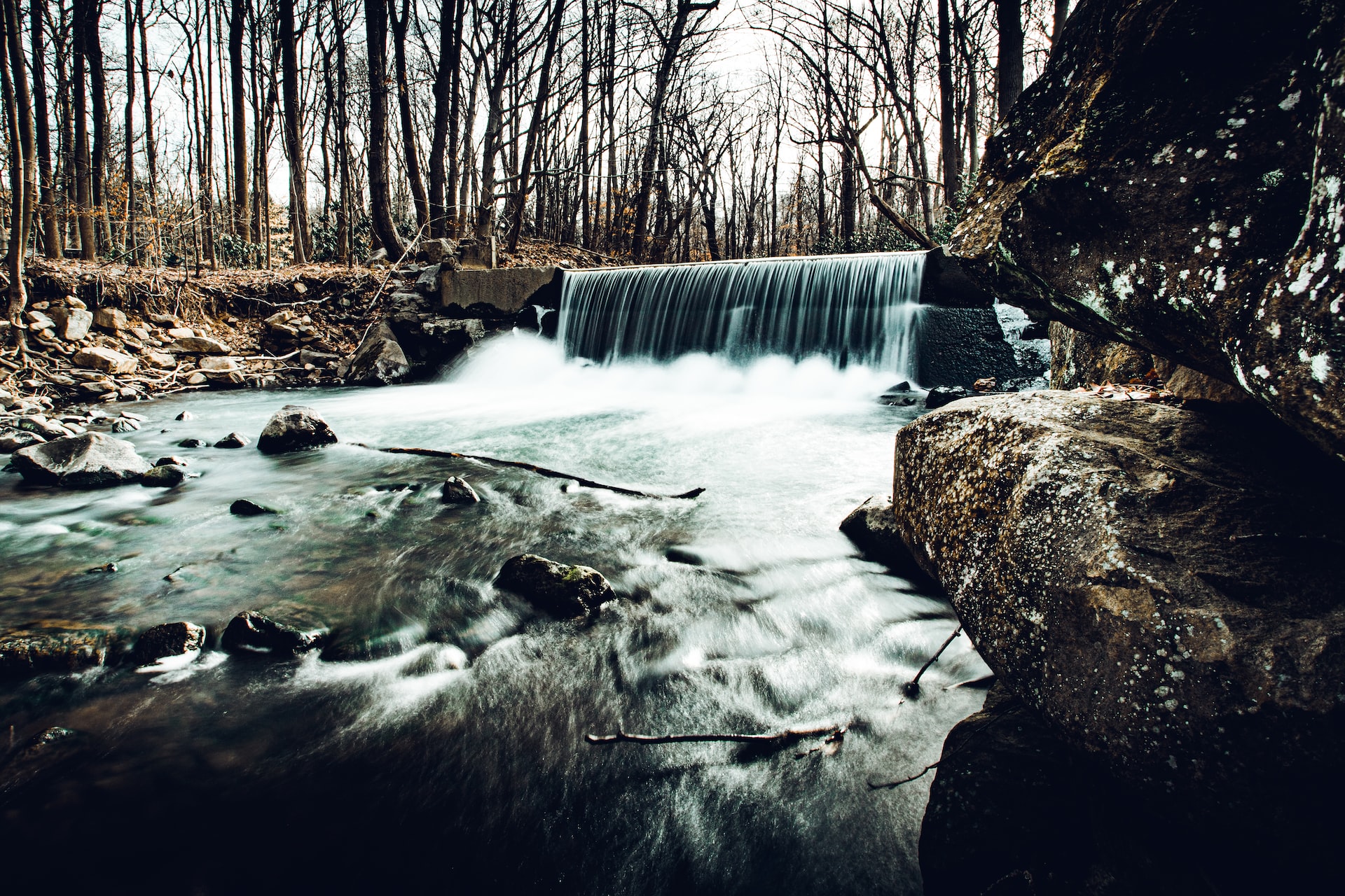 Jacobs Creek Waterfall flows through the woods.