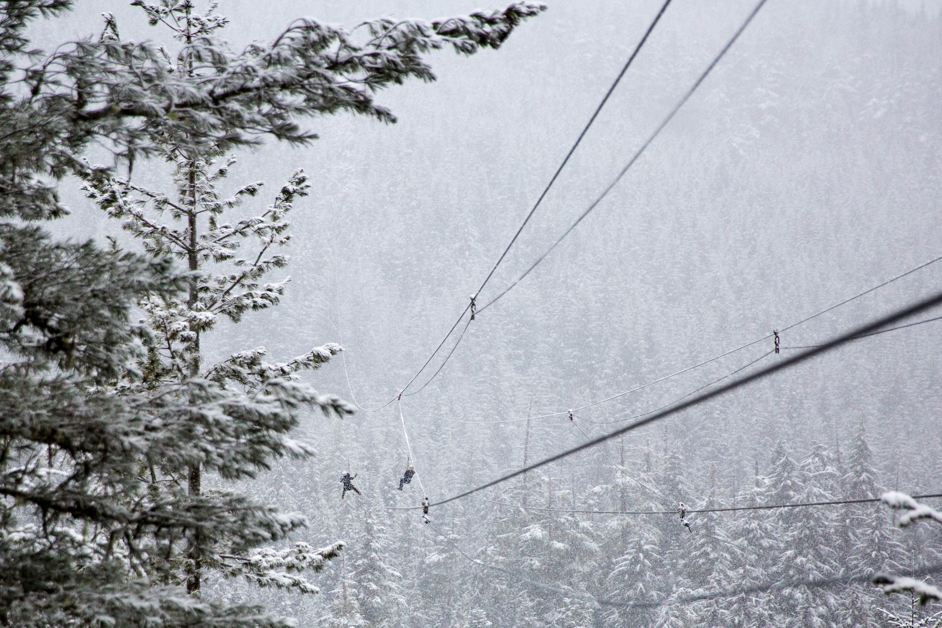 Two people zip lining in the winter.