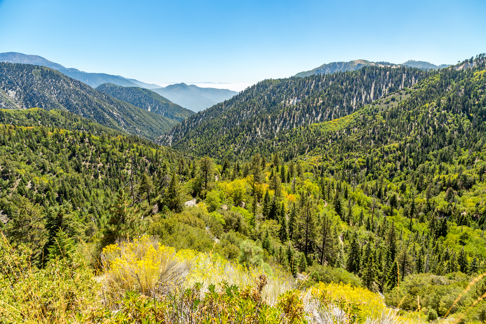 The incredible view down Big Bear Creek Valley in the San Bernardino National Forest from Butler Peak full of pine trees and greenery.