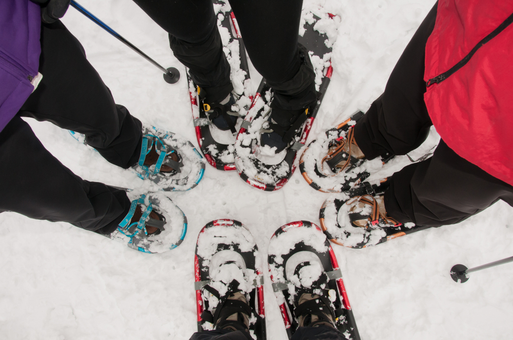 Four people standing on snow wearing modern, lightweight snowshoes.