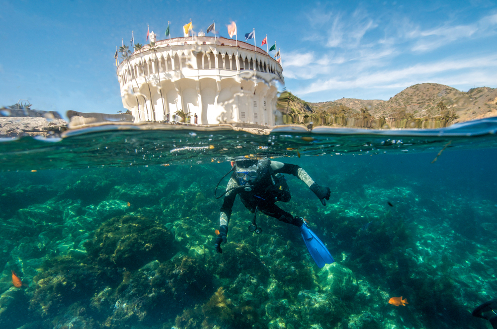 man-snorkeling-in-catalina