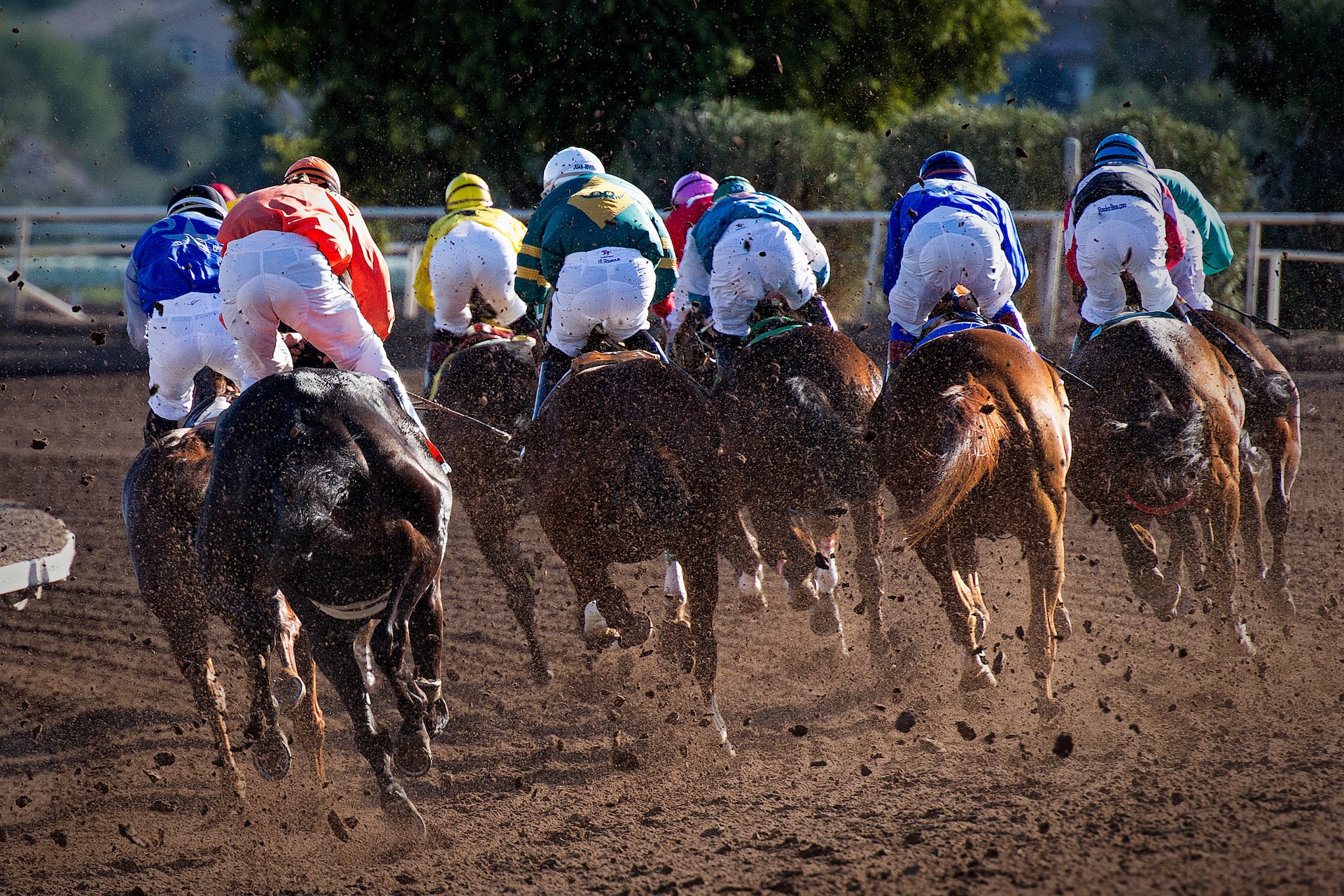 Jockeys racing by on some horses.