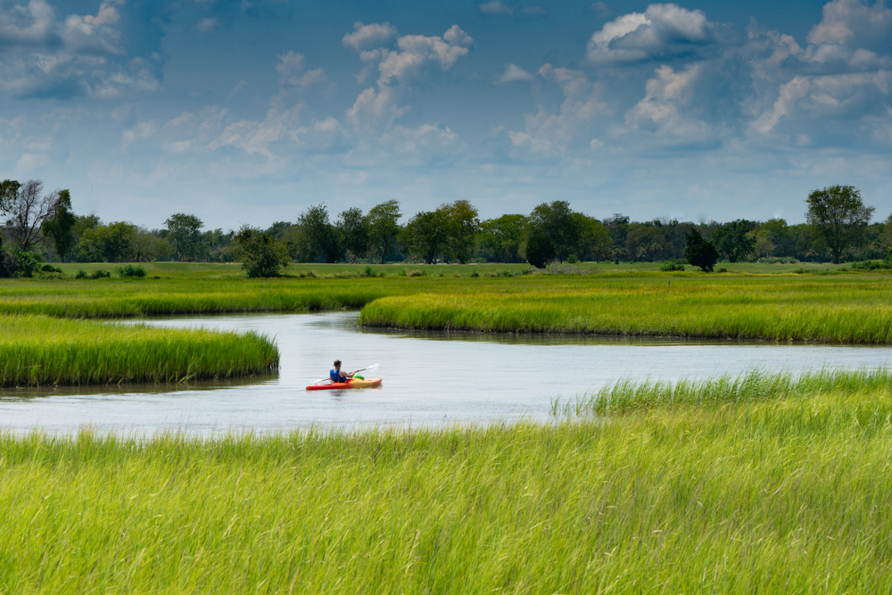Kayaker in the Marshland.