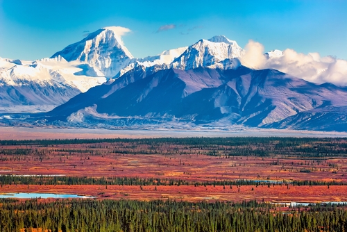 denali-alaska