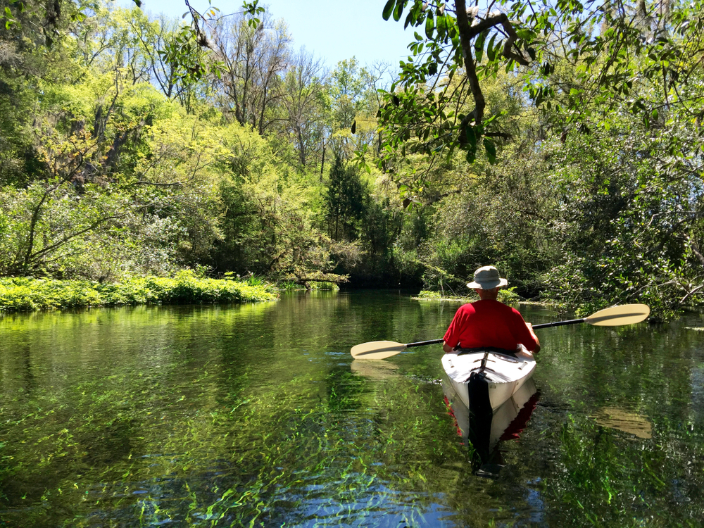 The beautiful turquoise headwaters of Ichetucknee Springs State Park being paddled by a man in a kayak.