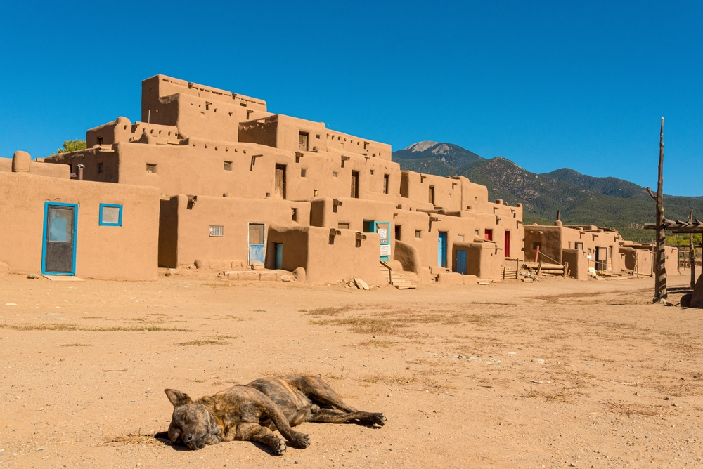 Dog sunbathing in front of the Taos Pueblo Village in New Mexico.