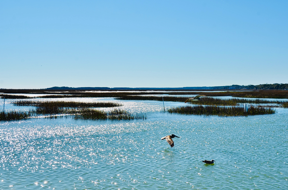 Scenic view of a salt marsh from the Murrells Inlet Marshwalk, near Myrtle Beach in South Carolina.