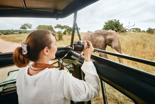 tourist-on-safari-tour