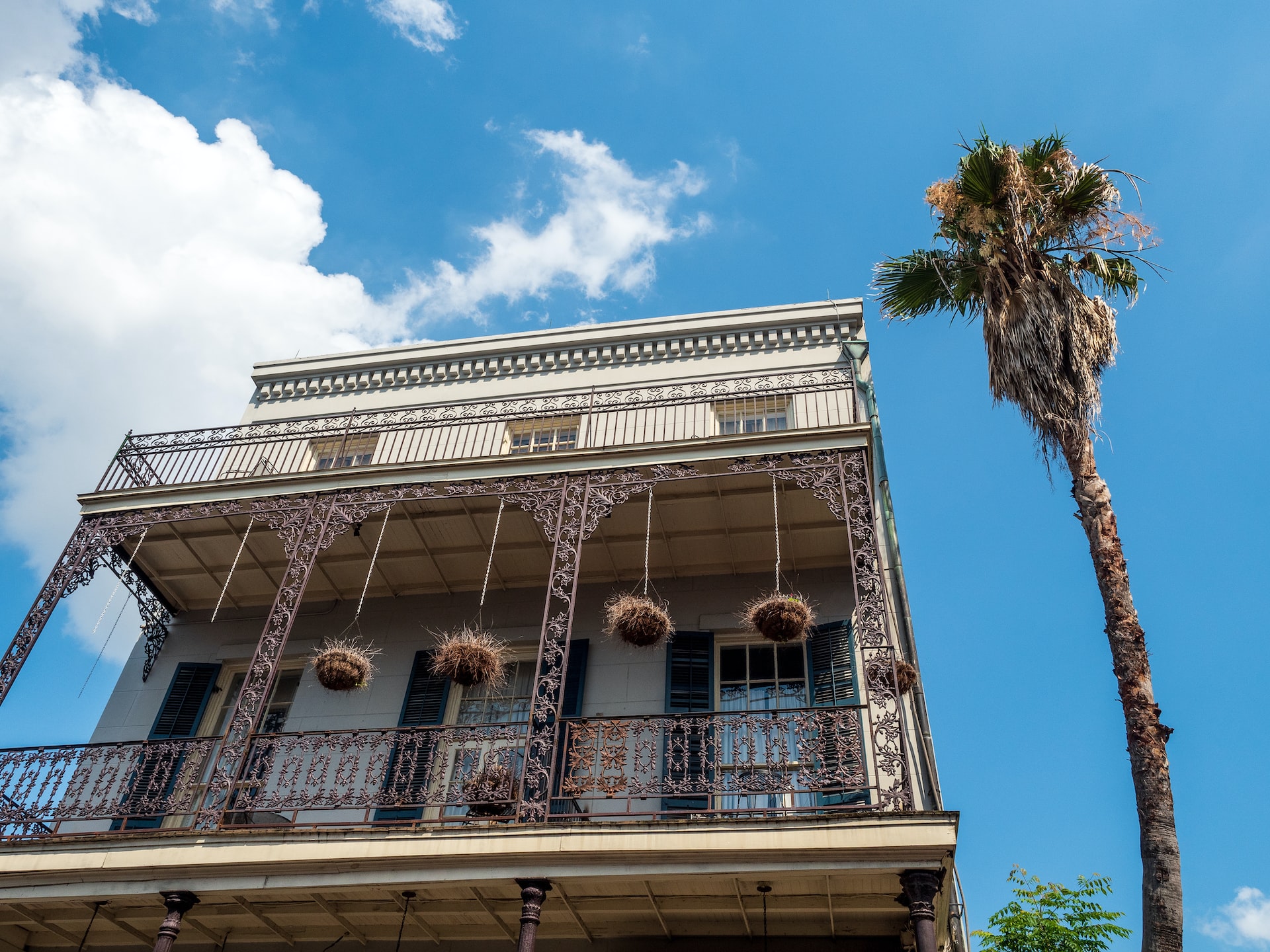 Creole townhouse balcony and hanging baskets beside a palm tree.