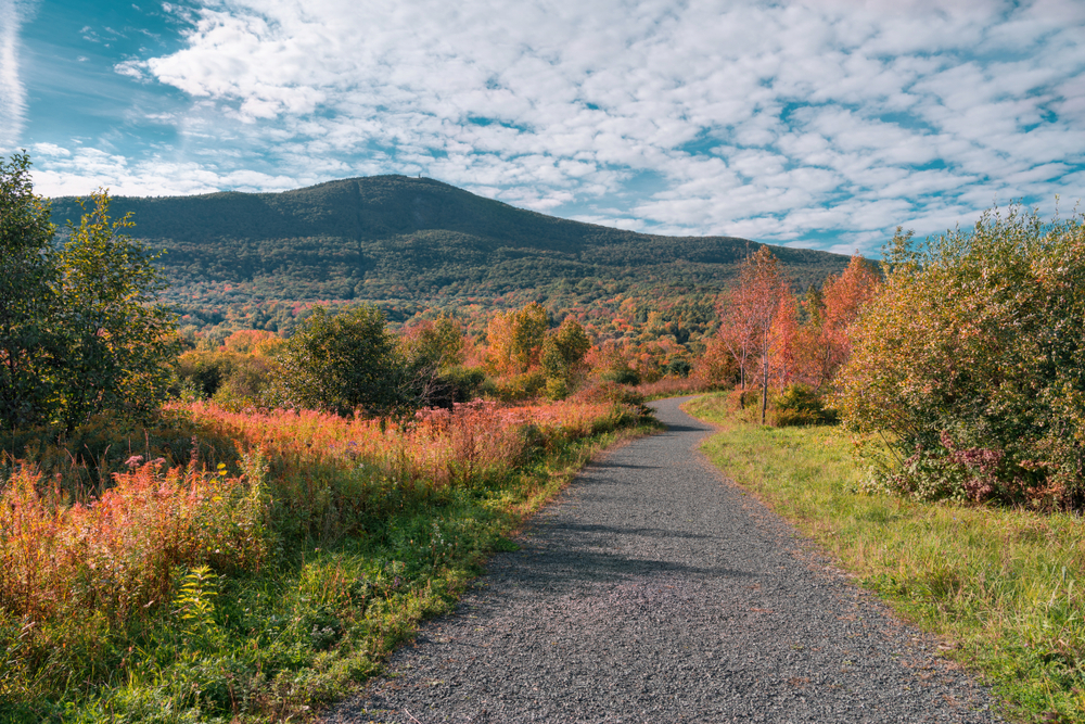 A trail leading towards Mount Greylock in early fall with the foliage starting to appear.