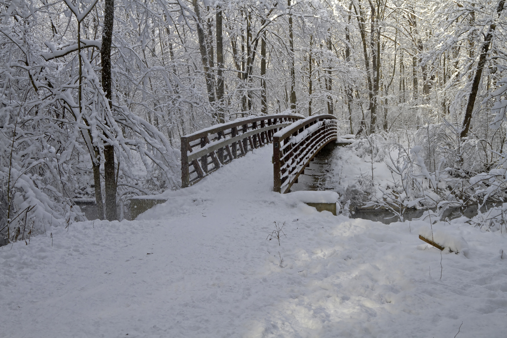 "Winter's Bridge" - Scene after a snowstorm - Grand Rapids, Michigan, USA.