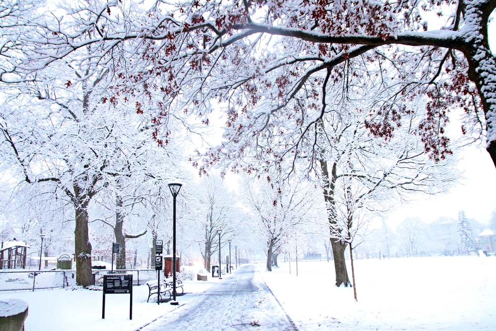 snowy-winter-in-boston