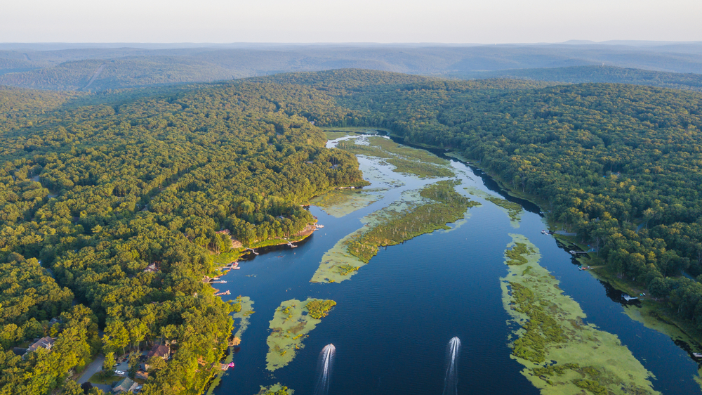 Avid Anglers: Valley Forge's Stout loves to keep a line in the water, The  Appalachian Adventurer