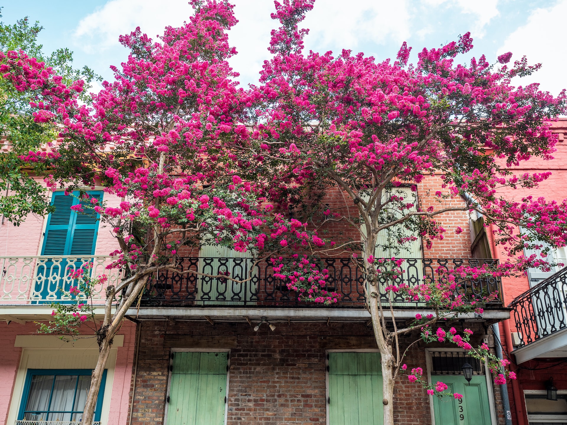 Crepe myrtle tree and Creole townhouse balcony.