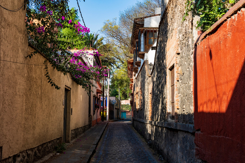coyocan-cobblestone-street