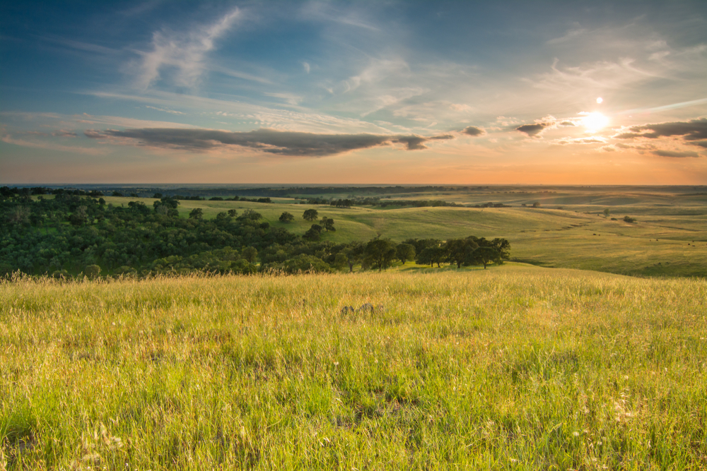 the-golden-hills-of-el-dorado