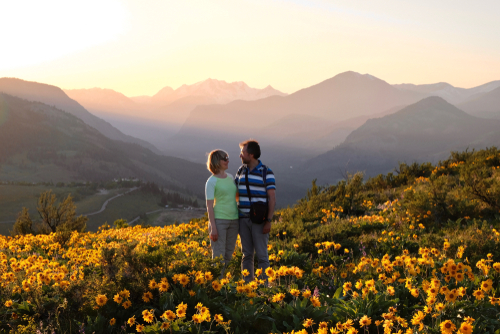 couple-in-field-of-flowers