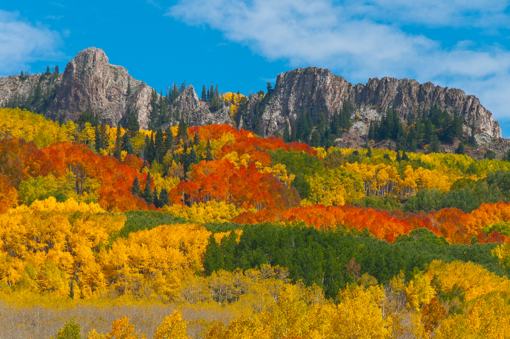 Fall foliage in Crested Butte.