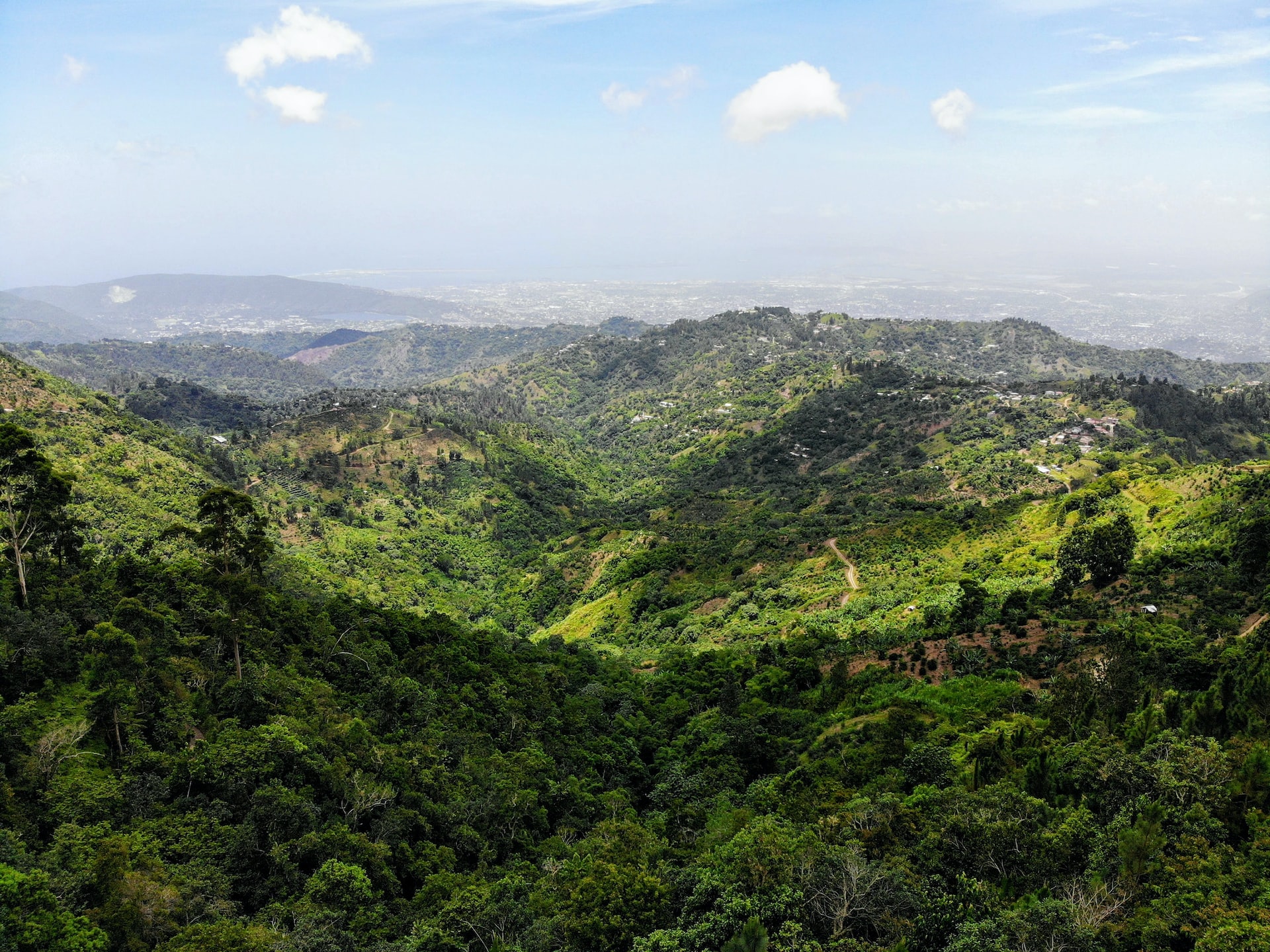 The greenery is evident in Blue Mountain, Jamaica.