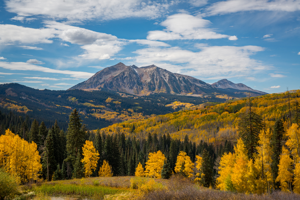East Beckwith Mountain during autumn from Kebler Pass.