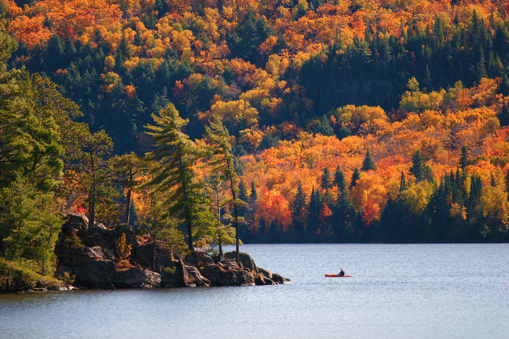 Kayaking in Algonquin Provincial Park during fall, Ontario, Canada.