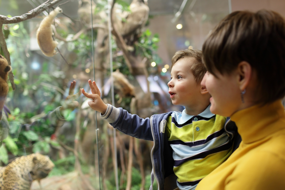 Mother with her son looking at wild animals in the museum.