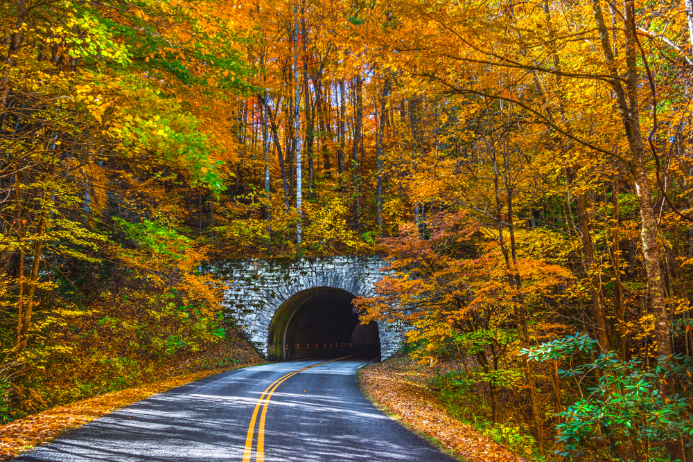 The Blue Ridge Parkway in fall.